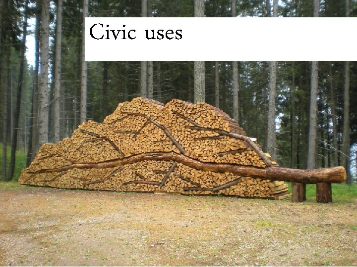 Usi civici Civic uses 