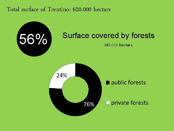 Total surface of Trentino: 620. 000 hectars 56% Surface covered by forests 346. 000