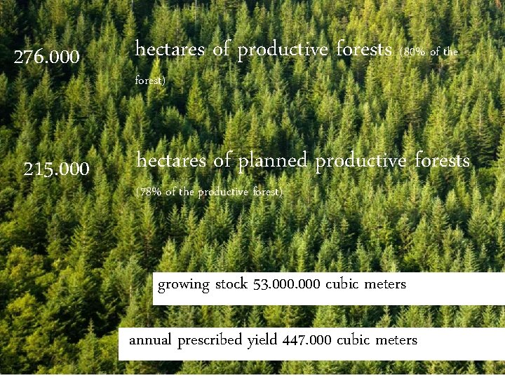 276. 000 215. 000 hectares of productive forests (80% of the forest) hectares of