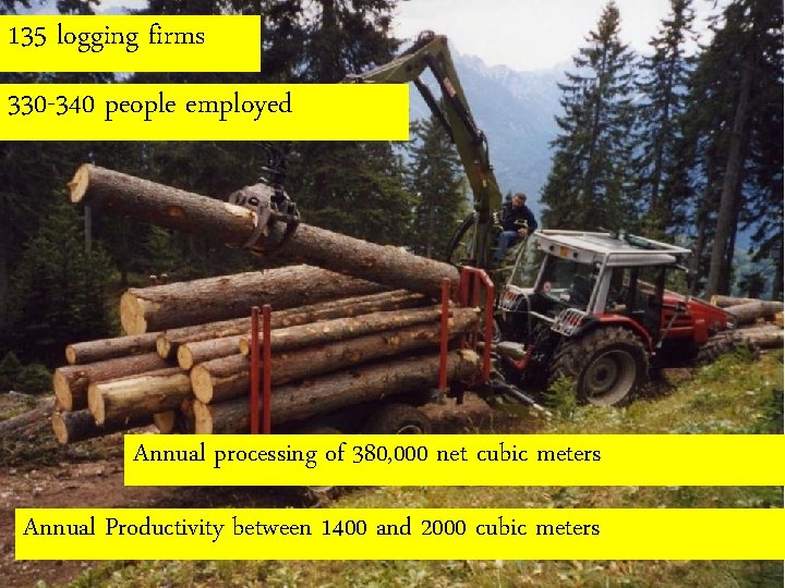 135 logging firms 330 -340 people employed Annual processing of 380, 000 net cubic