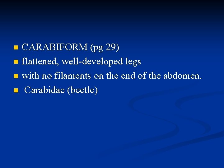 CARABIFORM (pg 29) n flattened, well-developed legs n with no filaments on the end