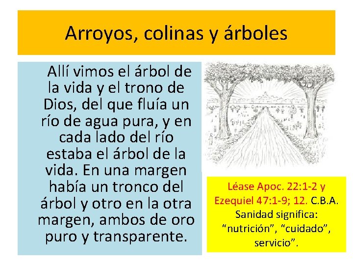 Arroyos, colinas y árboles Allí vimos el árbol de la vida y el trono