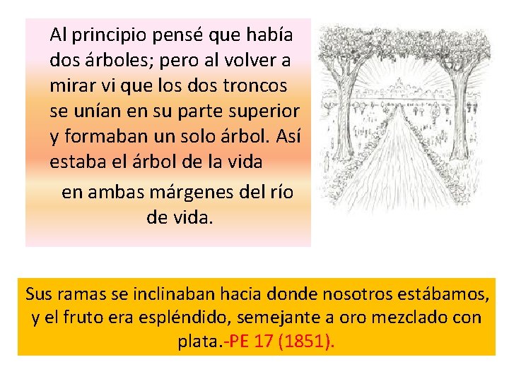  Al principio pensé que había dos árboles; pero al volver a mirar vi