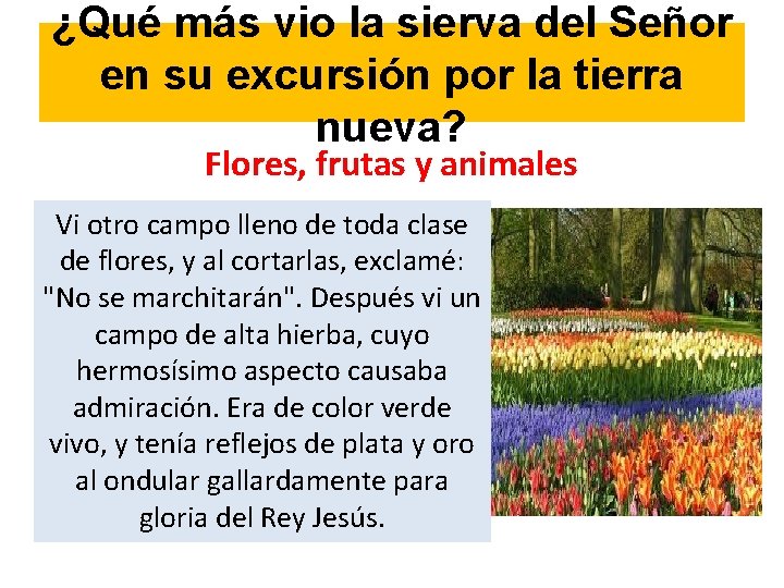 ¿Qué más vio la sierva del Señor en su excursión por la tierra nueva?