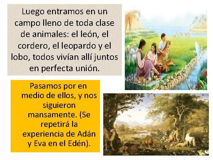Luego entramos en un campo lleno de toda clase de animales: el león, el