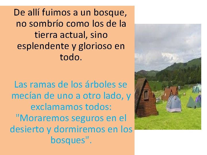  De allí fuimos a un bosque, no sombrío como los de la tierra