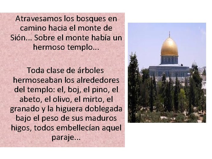  Atravesamos los bosques en camino hacia el monte de Sión. . . Sobre