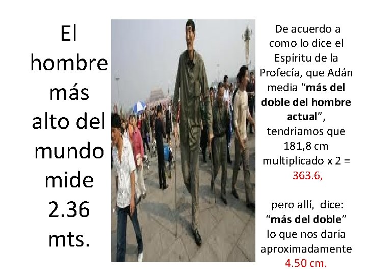  El hombre más alto del mundo mide 2. 36 mts. De acuerdo a
