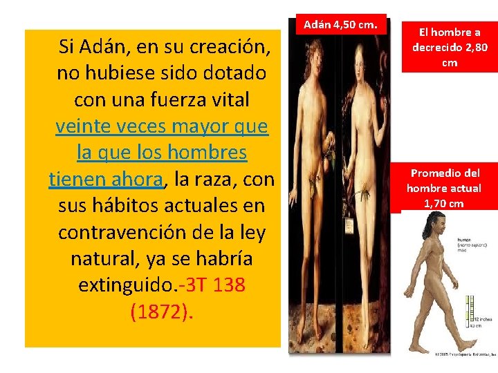  Adán 4, 50 cm. Si Adán, en su creación, no hubiese sido dotado
