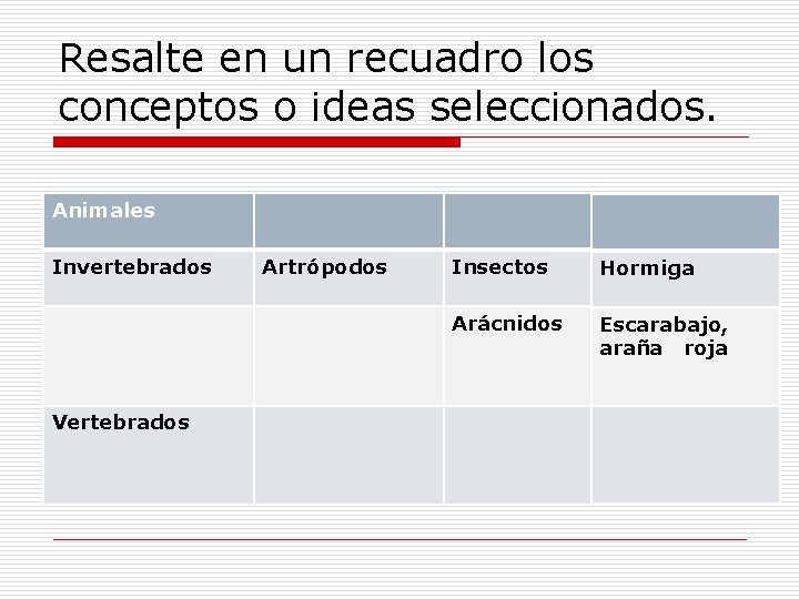 Resalte en un recuadro los conceptos o ideas seleccionados. Animales Invertebrados Vertebrados Artrópodos Insectos