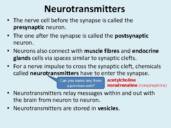 Neurotransmitters • The nerve cell before the synapse is called the presynaptic neuron. • Neurotransmitters • The nerve cell before the synapse is called the presynaptic neuron. •