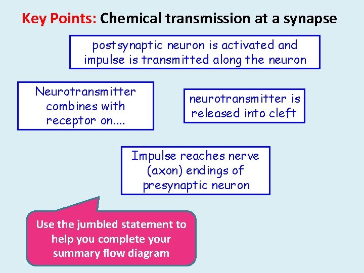 Key Points: Chemical transmission at a synapse postsynaptic neuron is activated and impulse is Key Points: Chemical transmission at a synapse postsynaptic neuron is activated and impulse is