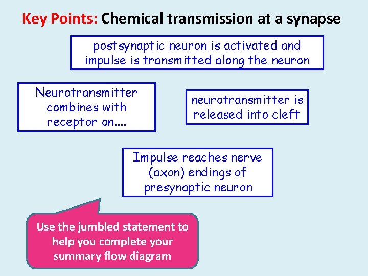 Key Points: Chemical transmission at a synapse postsynaptic neuron is activated and impulse is
