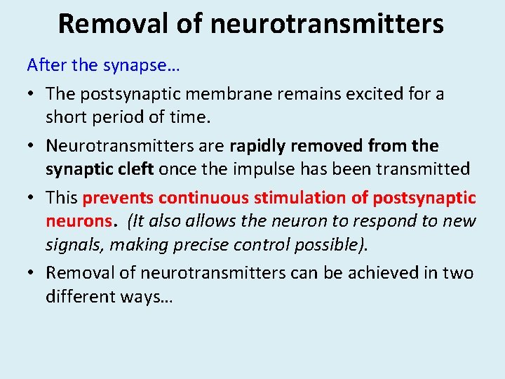 Removal of neurotransmitters After the synapse… • The postsynaptic membrane remains excited for a