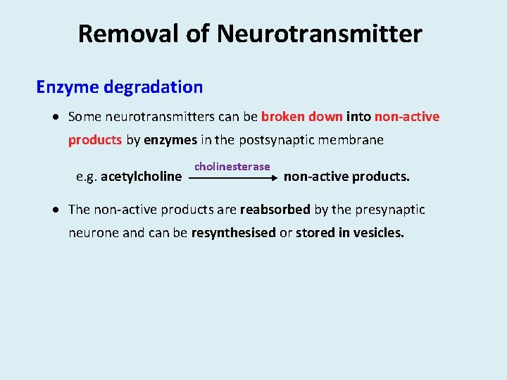 Removal of Neurotransmitter Enzyme degradation Some neurotransmitters can be broken down into non-active products Removal of Neurotransmitter Enzyme degradation Some neurotransmitters can be broken down into non-active products