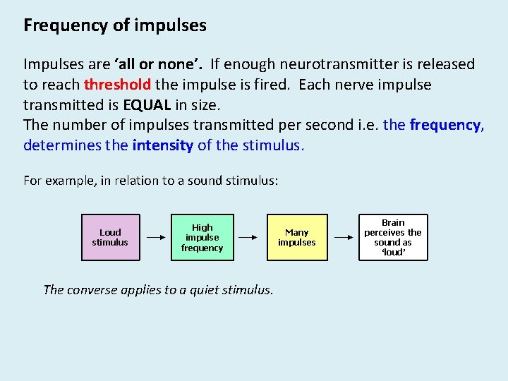 Frequency of impulses Impulses are ‘all or none’. If enough neurotransmitter is released to Frequency of impulses Impulses are ‘all or none’. If enough neurotransmitter is released to