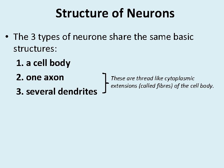 Structure of Neurons • The 3 types of neurone share the same basic structures: