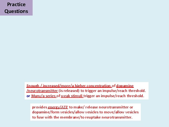 Practice Questions Enough / increased/more/a higher concentration of dopamine /neurotransmitter (is released) to trigger Practice Questions Enough / increased/more/a higher concentration of dopamine /neurotransmitter (is released) to trigger