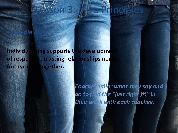 Lesson 3: Five Principles Principle 3: Individualizing supports the development of respectful, trusting relationships Lesson 3: Five Principles Principle 3: Individualizing supports the development of respectful, trusting relationships