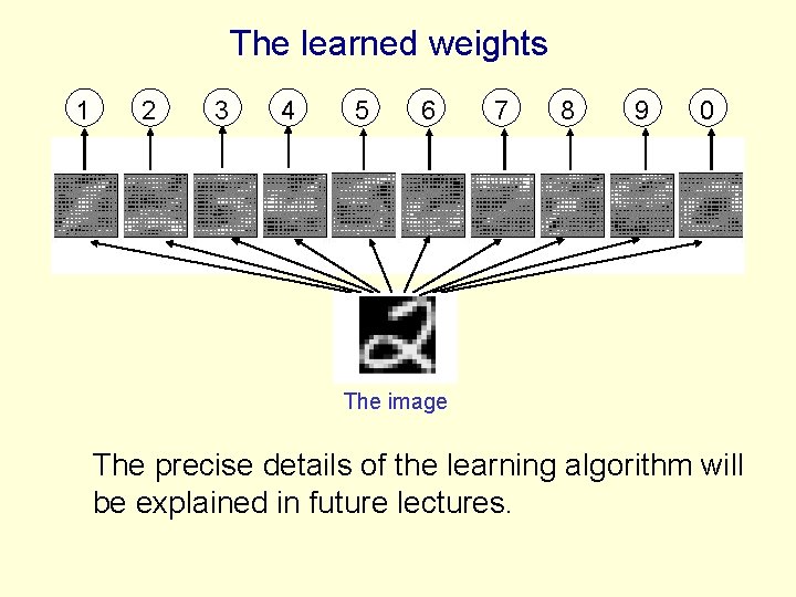 The learned weights 1 2 3 4 5 6 7 8 9 0 The