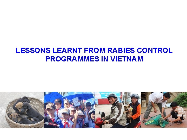 LESSONS LEARNT FROM RABIES CONTROL PROGRAMMES IN VIETNAM 