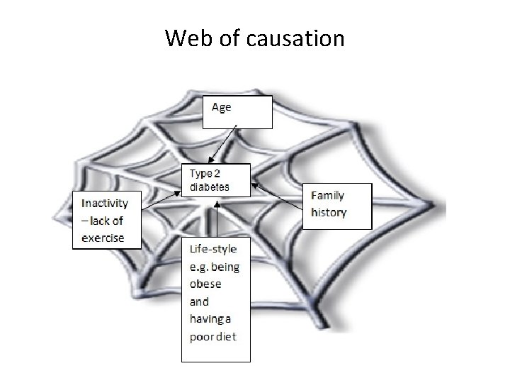 Web of causation 