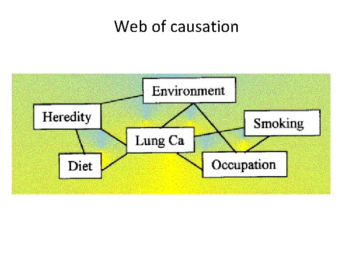 Web of causation 