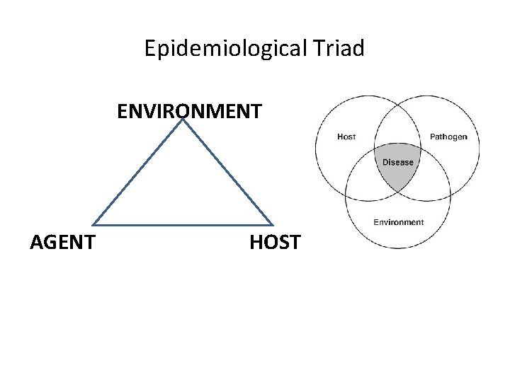Epidemiological Triad ENVIRONMENT AGENT HOST 