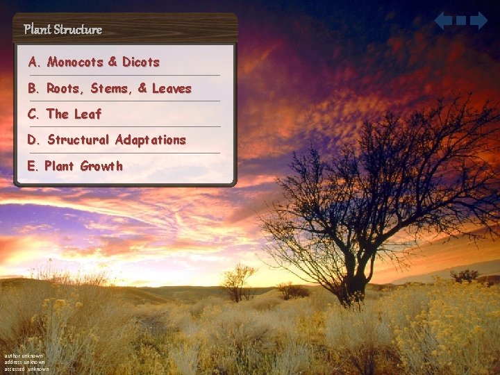 Plant Structure A. Monocots & Dicots B. Roots, Stems, & Leaves C. The Leaf