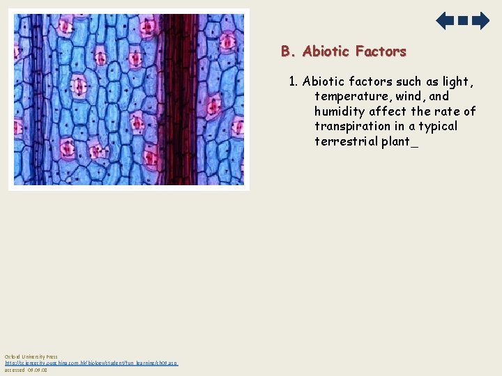 B. Abiotic Factors 1. Abiotic factors such as light, temperature, wind, and humidity affect