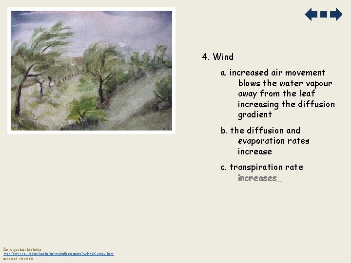 4. Wind a. increased air movement blows the water vapour away from the leaf