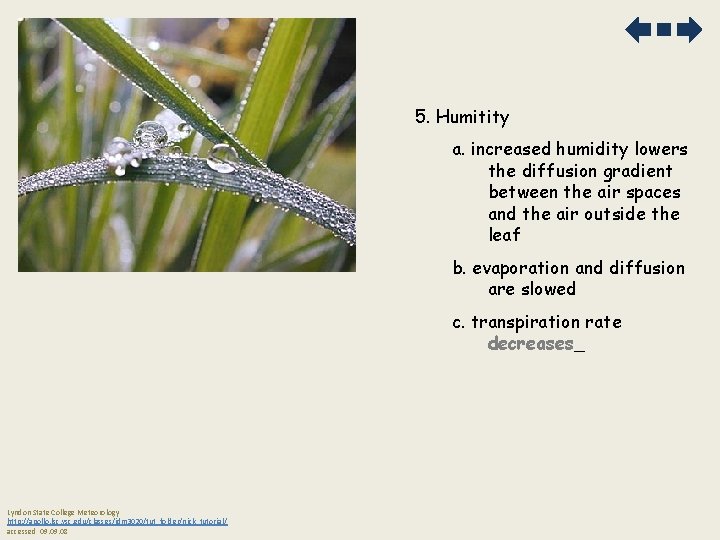 5. Humitity a. increased humidity lowers the diffusion gradient between the air spaces and