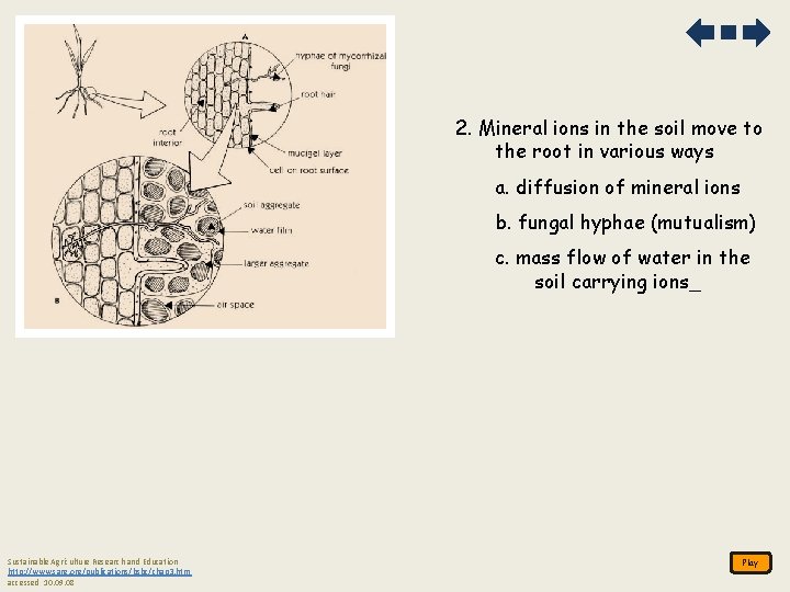 2. Mineral ions in the soil move to the root in various ways a.