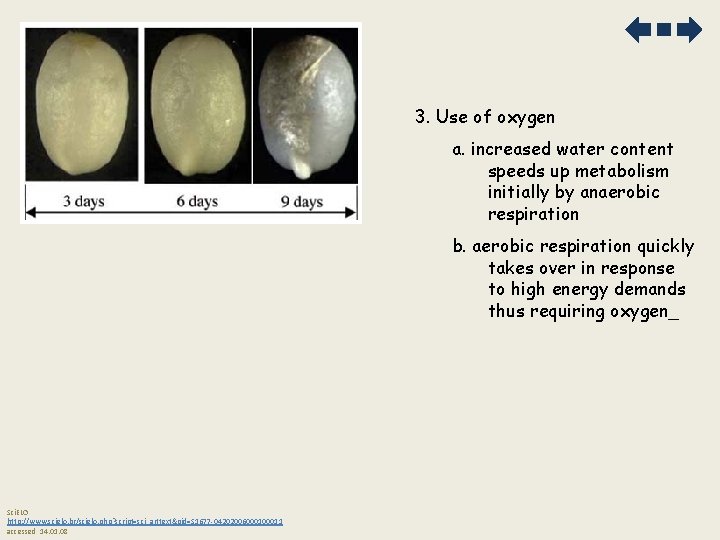 3. Use of oxygen a. increased water content speeds up metabolism initially by anaerobic