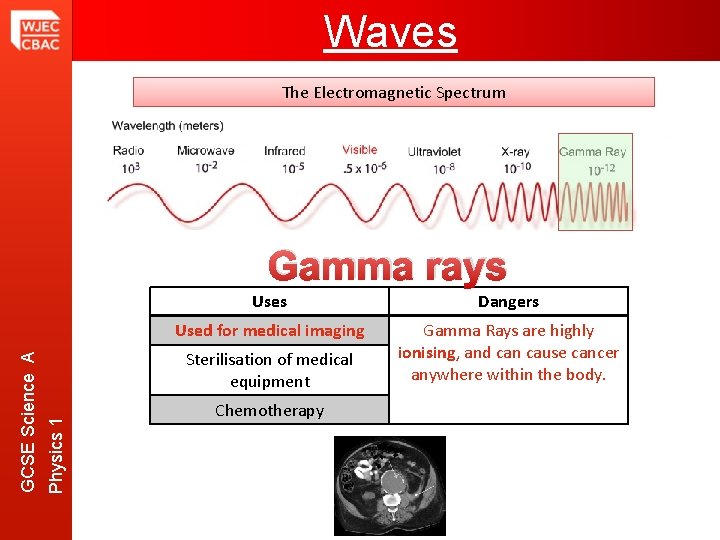 Waves The Electromagnetic Spectrum Uses Dangers Used for medical imaging Gamma Rays are highly