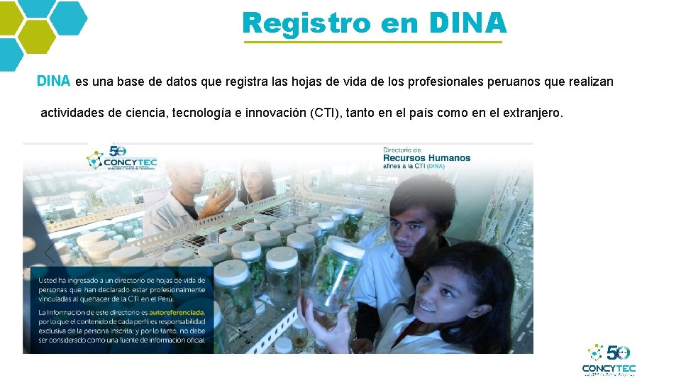 Registro en DINA es una base de datos que registra las hojas de vida