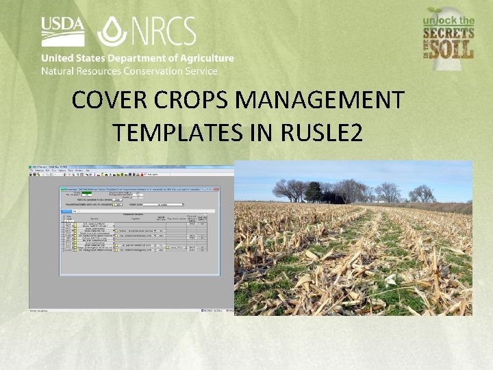 COVER CROPS MANAGEMENT TEMPLATES IN RUSLE 2 