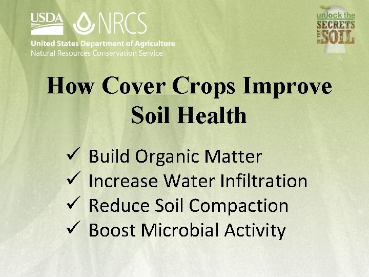 How Cover Crops Improve Soil Health ü ü Build Organic Matter Increase Water Infiltration