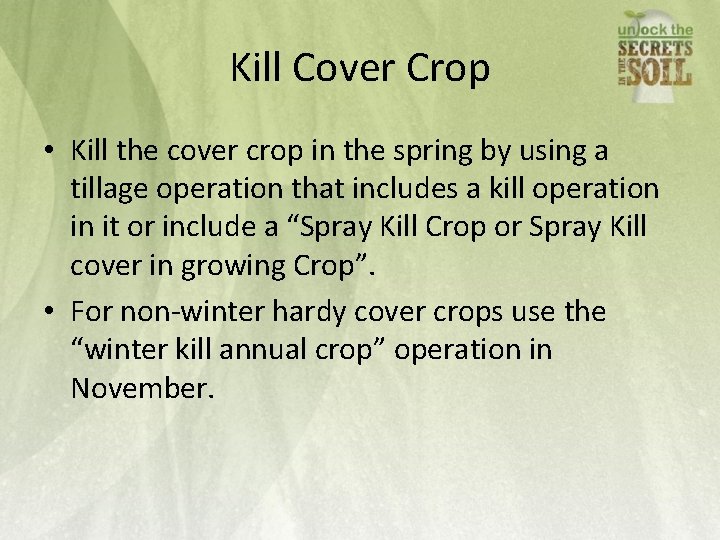 Kill Cover Crop • Kill the cover crop in the spring by using a