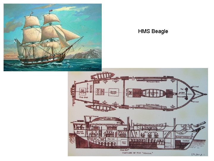 HMS Beagle 