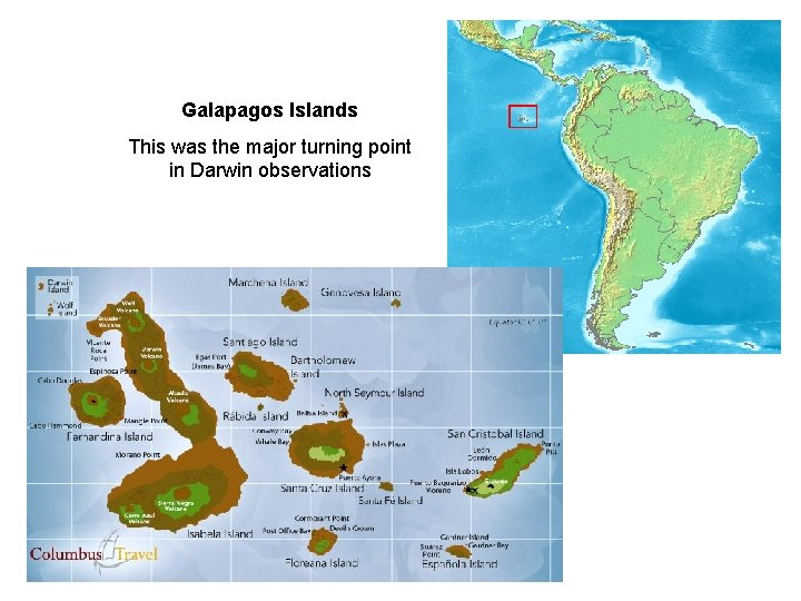 Galapagos Islands This was the major turning point in Darwin observations 