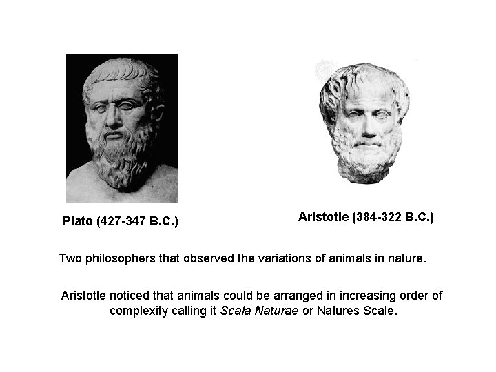 Plato (427 -347 B. C. ) Aristotle (384 -322 B. C. ) Two philosophers