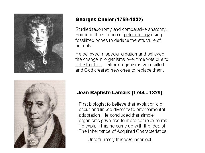 Georges Cuvier (1769 -1832) Studied taxonomy and comparative anatomy. Founded the science of paleontology