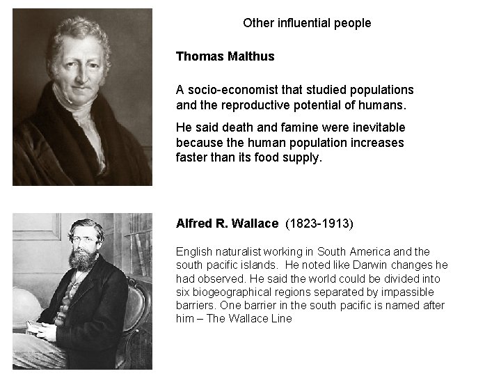 Other influential people Thomas Malthus A socio-economist that studied populations and the reproductive potential