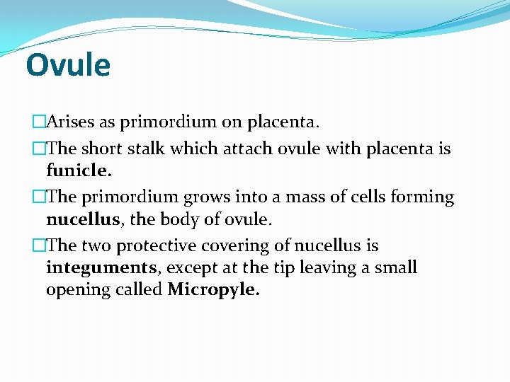 Ovule �Arises as primordium on placenta. �The short stalk which attach ovule with placenta