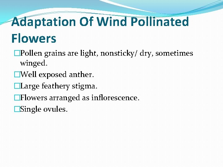 Adaptation Of Wind Pollinated Flowers �Pollen grains are light, nonsticky/ dry, sometimes winged. �Well