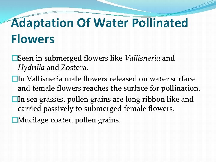 Adaptation Of Water Pollinated Flowers �Seen in submerged flowers like Vallisneria and Hydrilla and