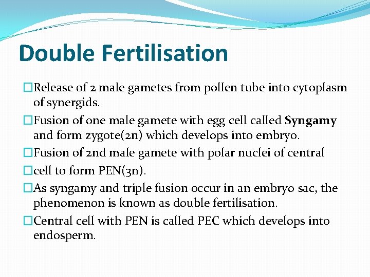 Double Fertilisation �Release of 2 male gametes from pollen tube into cytoplasm of synergids.