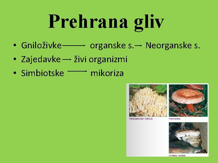 Prehrana gliv • Gniloživke organske s. • Zajedavke živi organizmi • Simbiotske mikoriza Neorganske