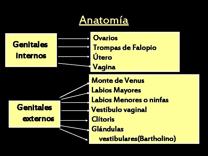 Anatomía Genitales internos Genitales externos Ovarios Trompas de Falopio Útero Vagina Monte de Venus